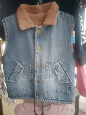 Kids Fleece Lined Sleeveless Denim Vest With Dinosaur Graphic Blue