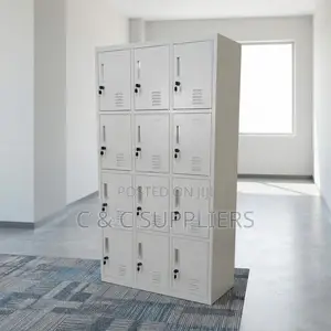 12-Door's Metallic File Locker