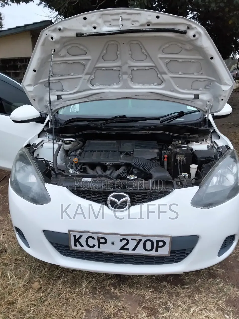 Mazda Demio 2011 Pearl