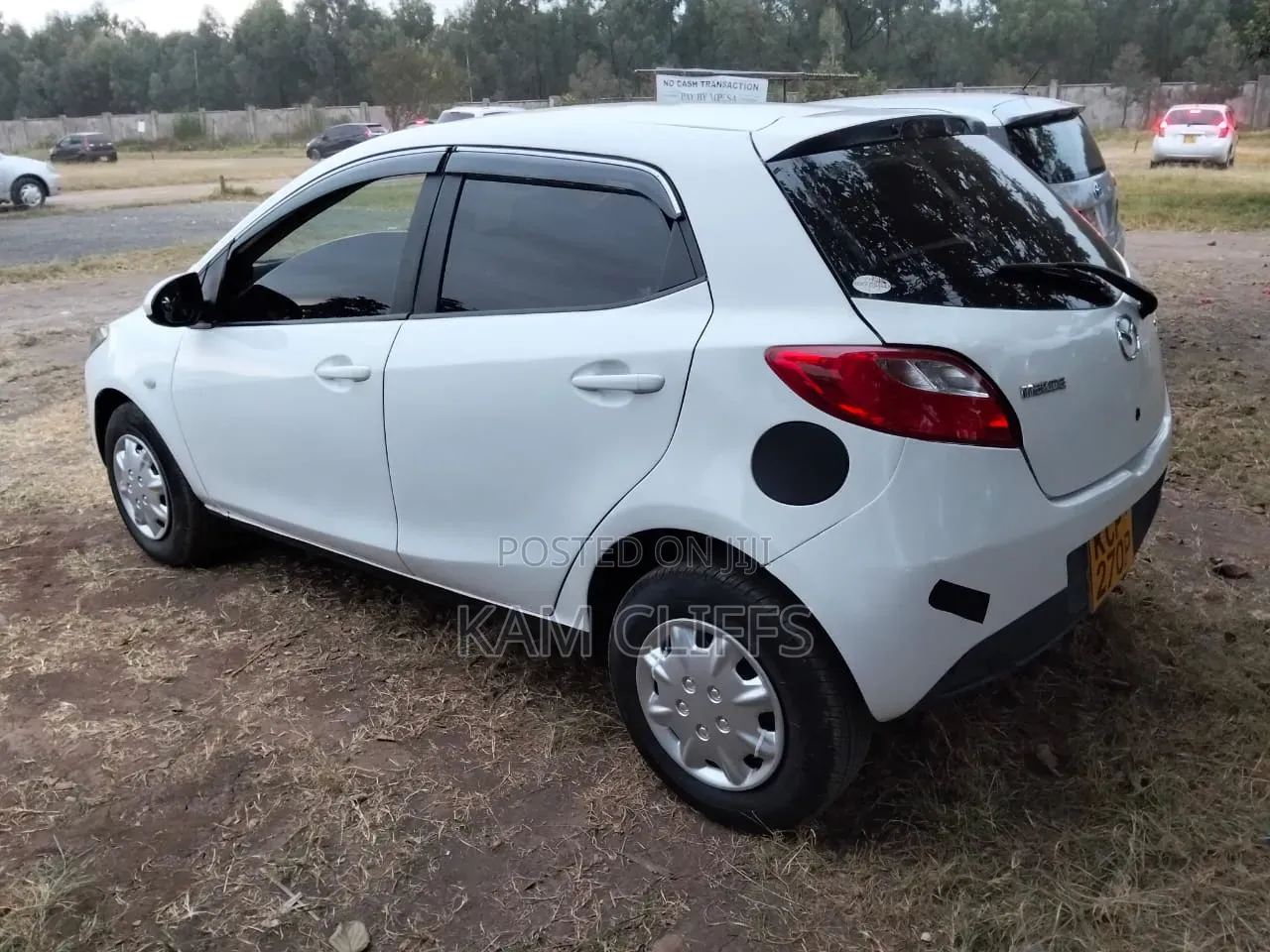 Mazda Demio 2011 Pearl