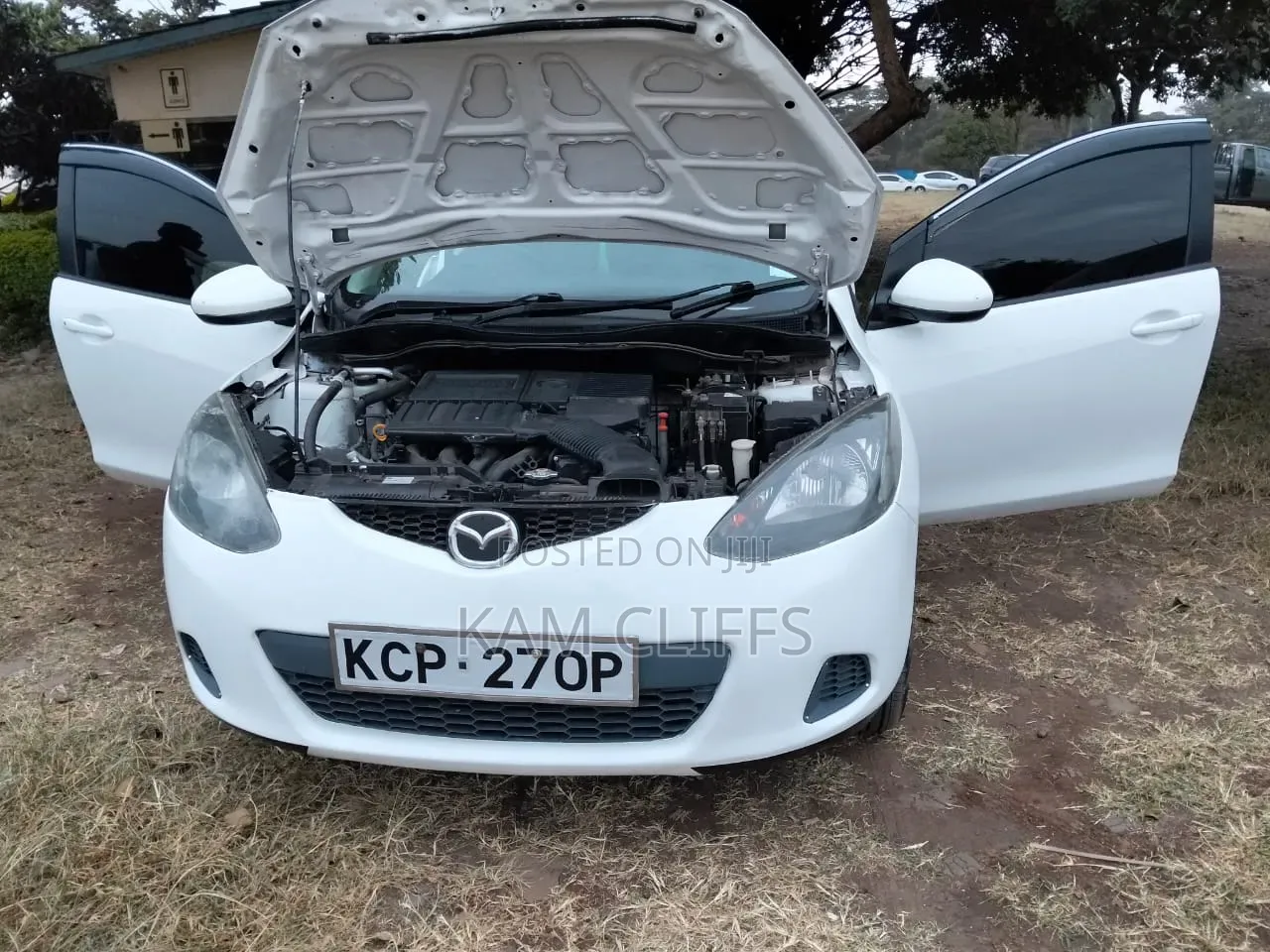 Mazda Demio 2011 Pearl