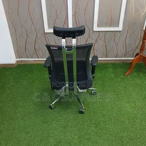 Ergonomic Home Chair With Lumber