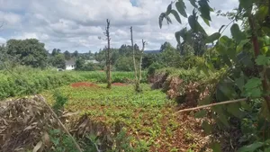 Plot for Sale in Kiambu
