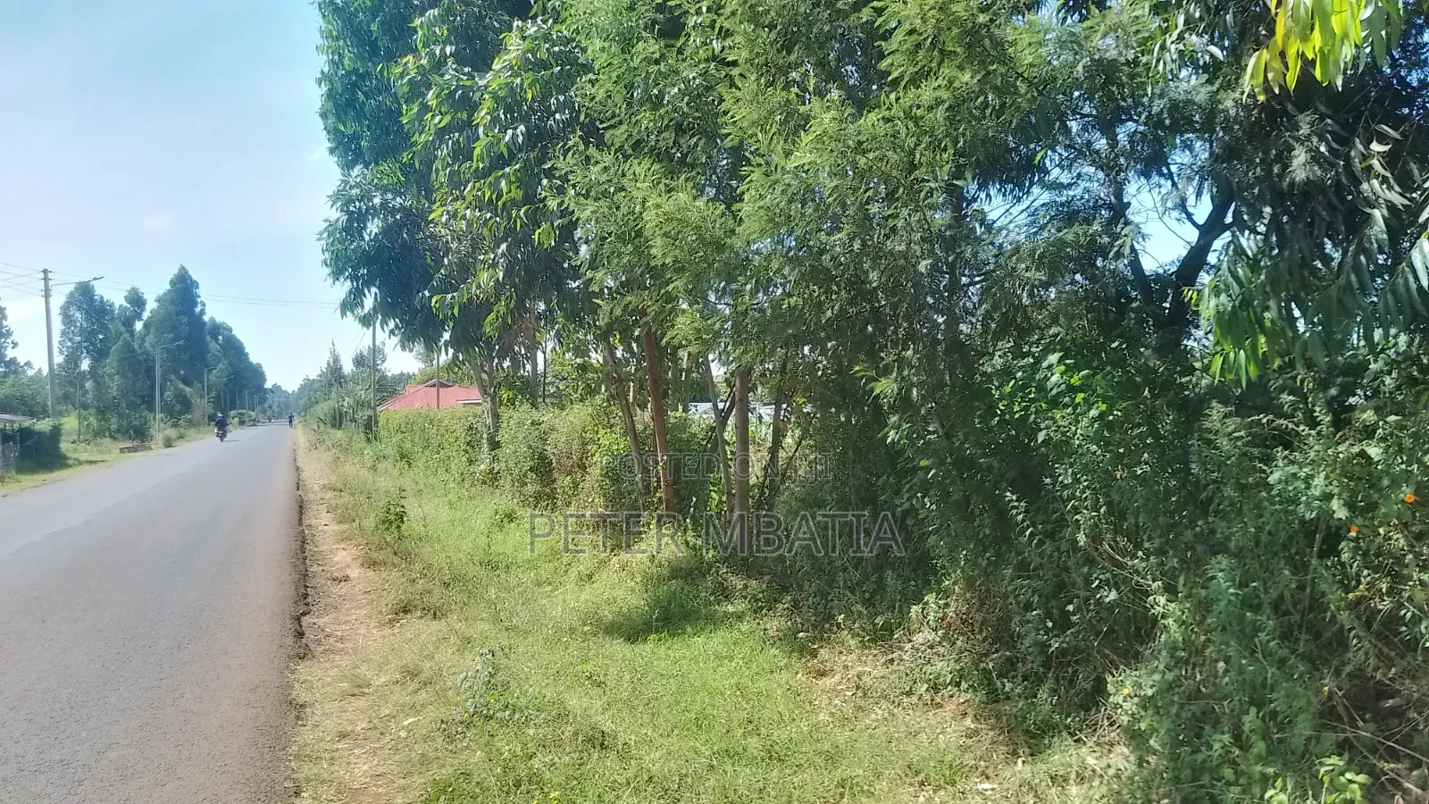 Plot for Sale in Kiambu