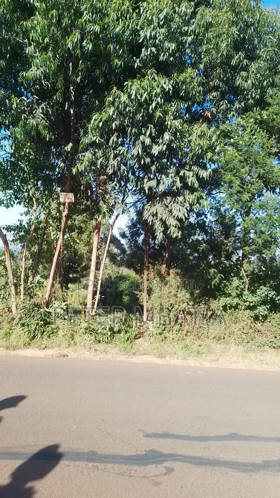 Plot for Sale in Kiambu