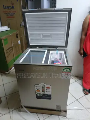 Ecomax 169l Deep Freezer – Silver Finish