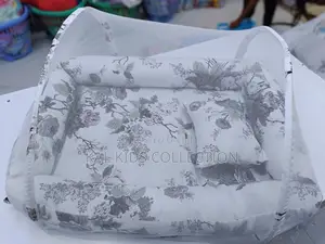 Baby Co Sleeper With Net