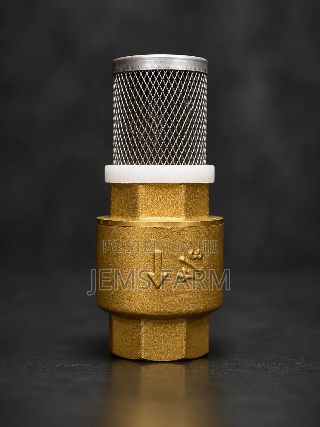 3/4′′ Brass Foot Valve With Stainless Steel Strainer