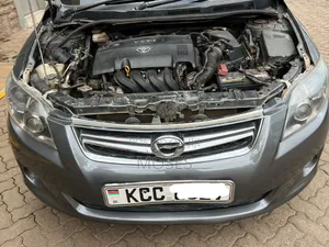 Toyota Axio 2009 Gray