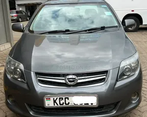Toyota Axio 2009 Gray