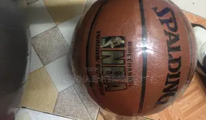 Spalding Basketball Indoor/Outdoor
