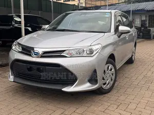Toyota Corolla Fielder 1.5 Hybrid FWD 2020 Gray
