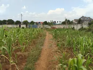 1 Acre Residential Land in Lower Elgonview Eldoret