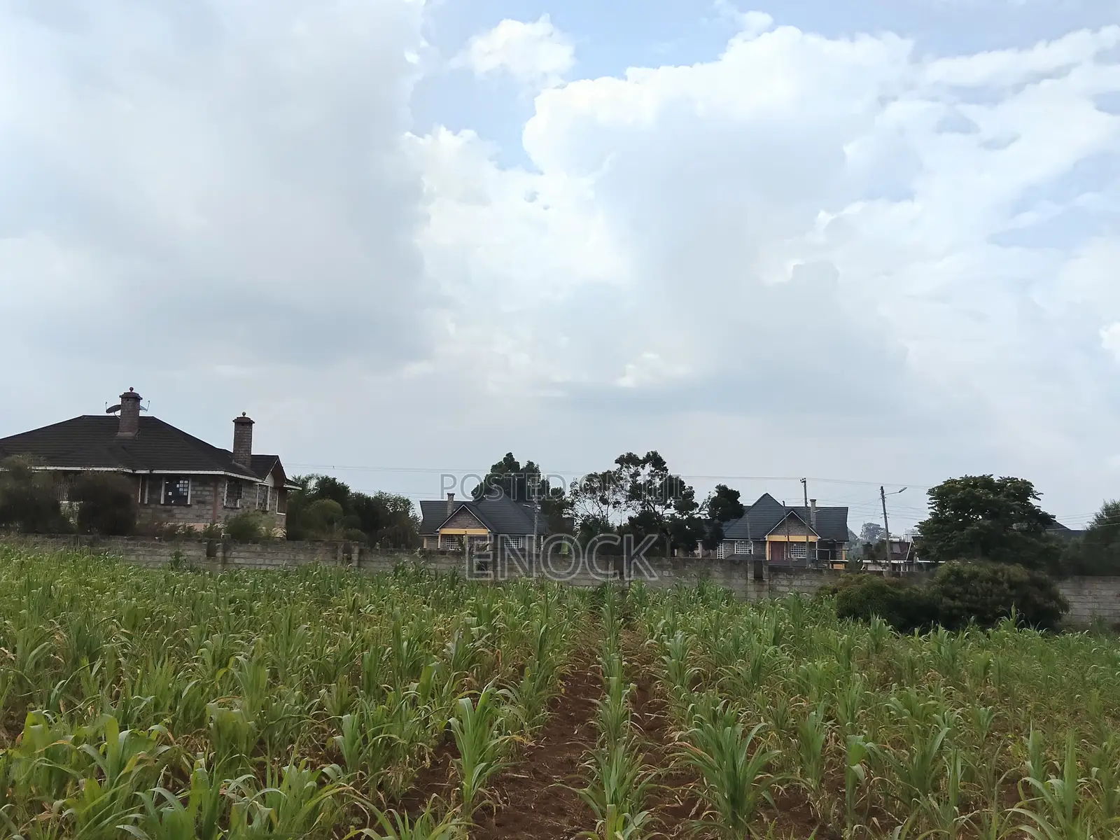 1 Acre Residential Land in Lower Elgonview Eldoret