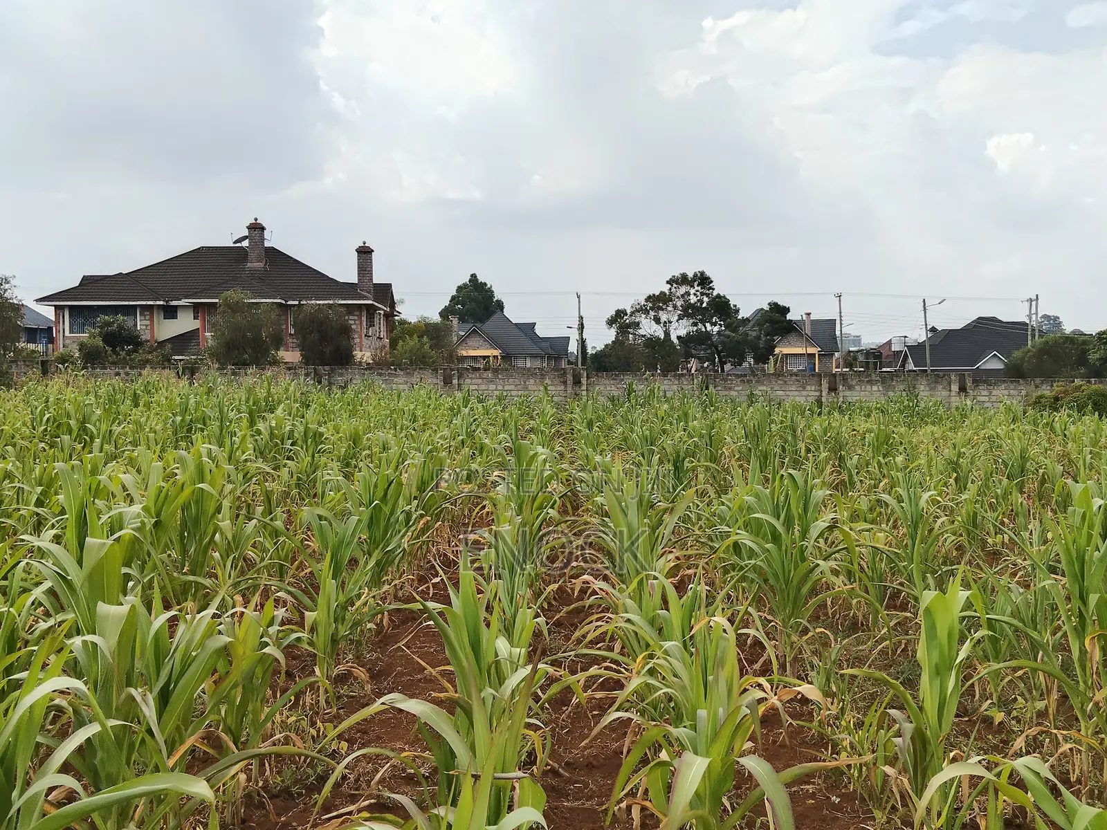 1 Acre Residential Land in Lower Elgonview Eldoret