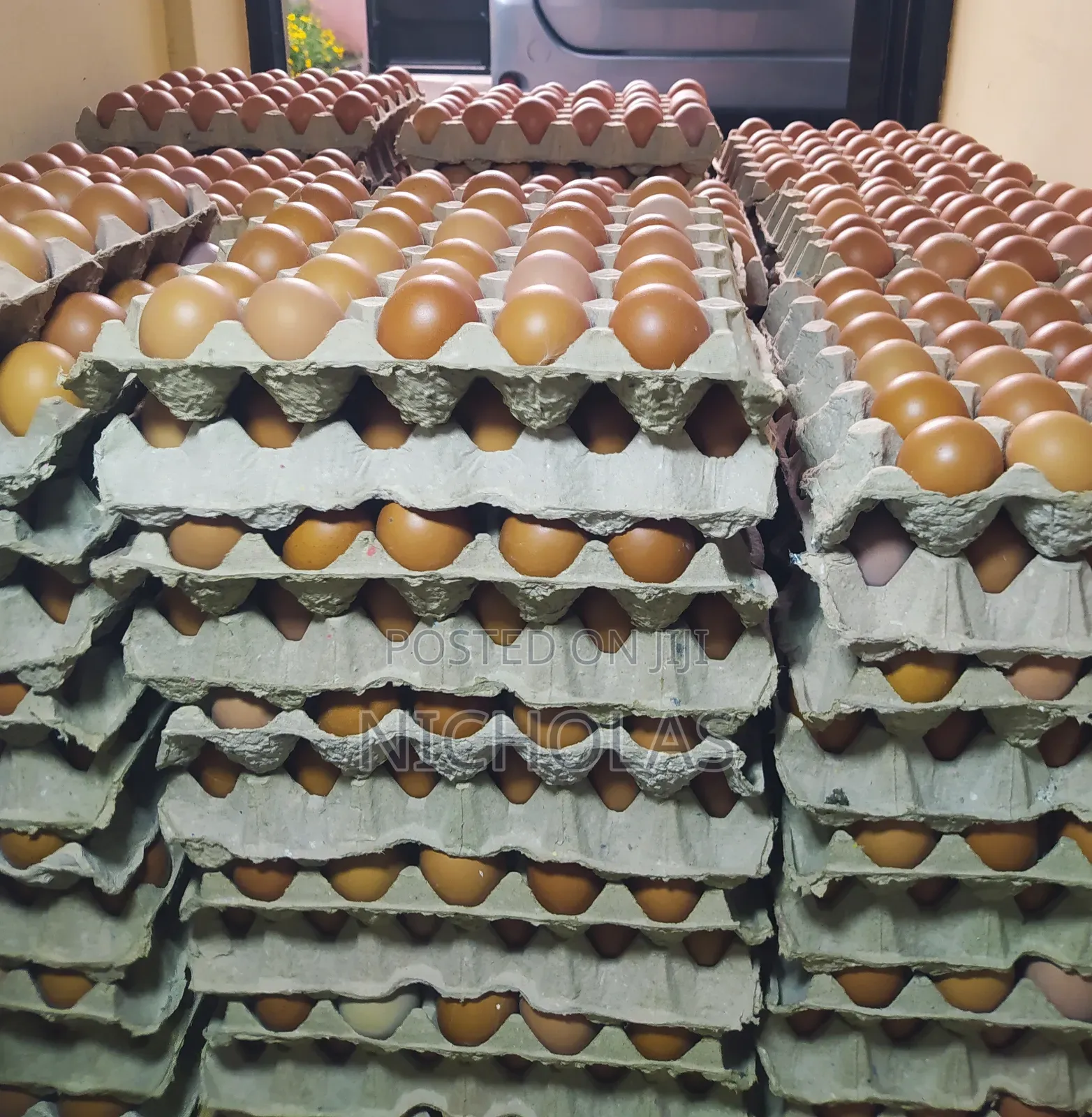Fresh Eggs in Plenty Wholesale Bulk