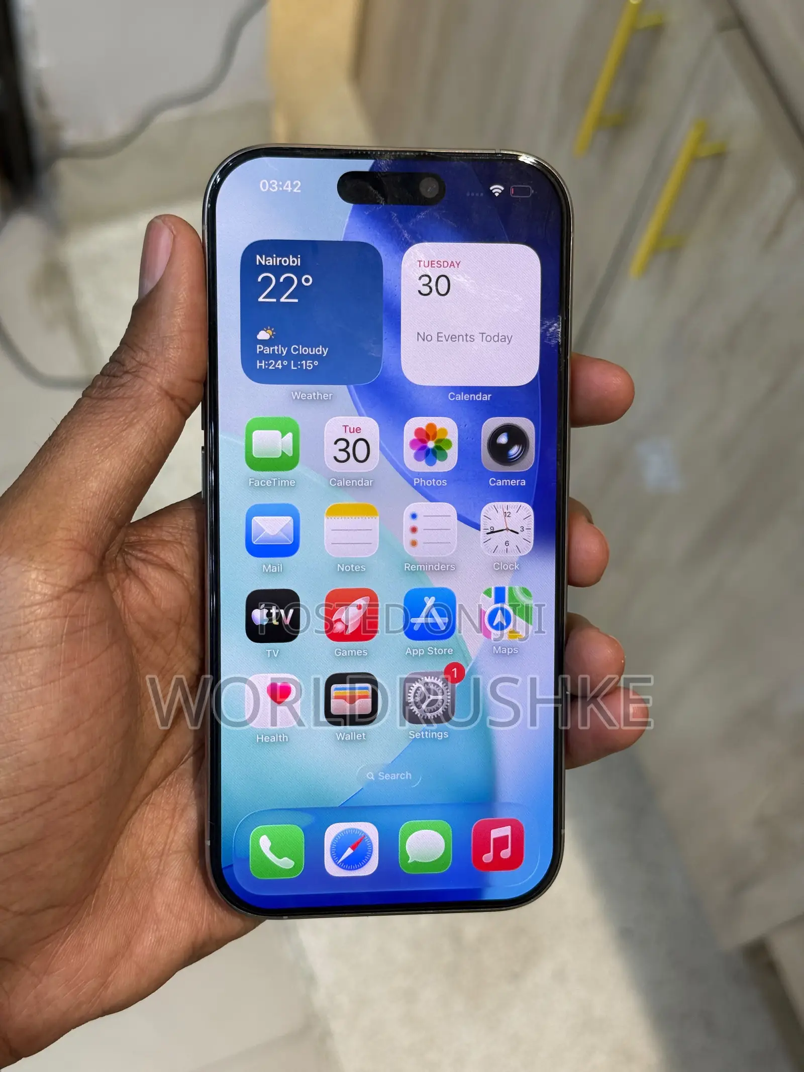 Apple iPhone 15 Pro Max 256 GB Gray