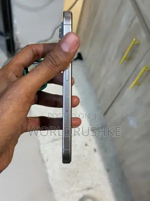 Apple iPhone 15 Pro Max 256 GB Gray