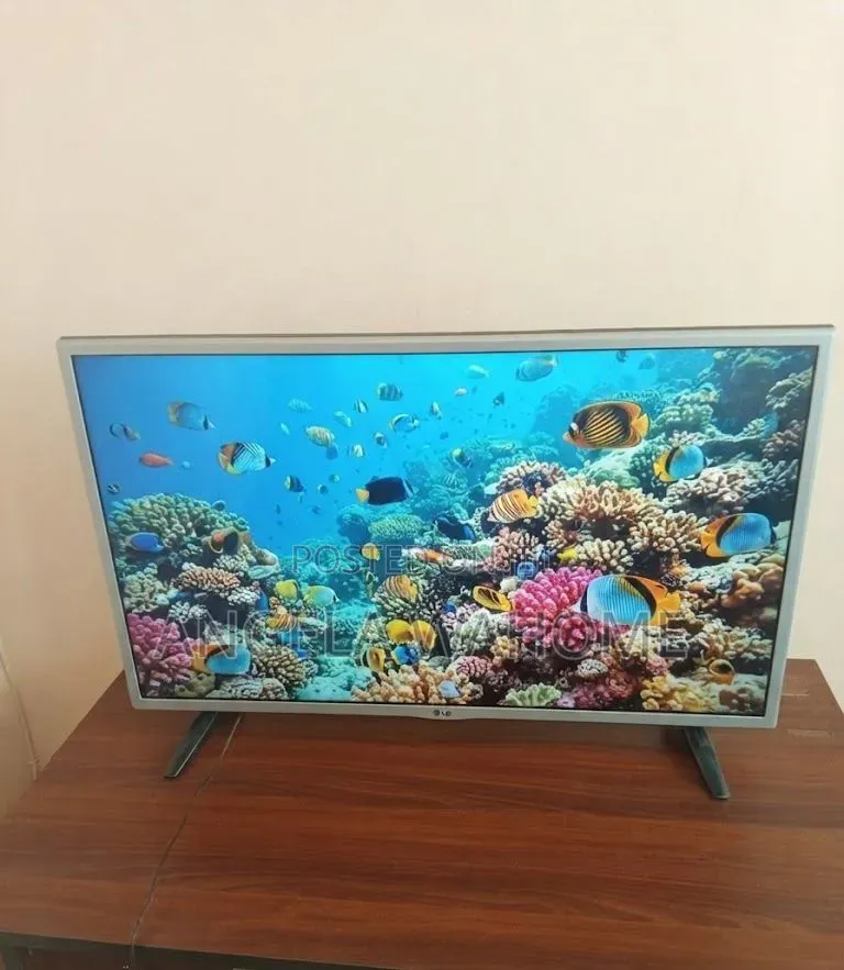 Lg Digital Tv