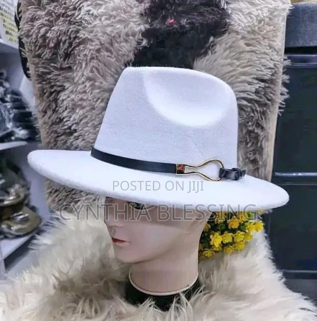Elegant Fedora Hats in Various Colors