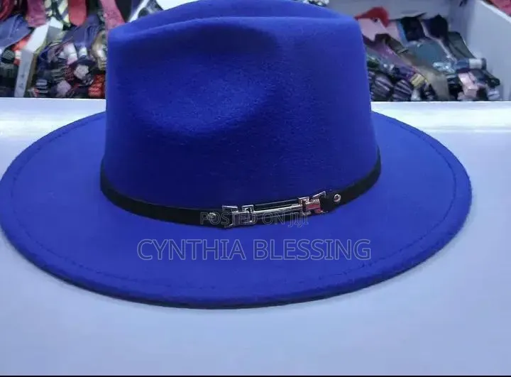 Elegant Fedora Hats in Various Colors