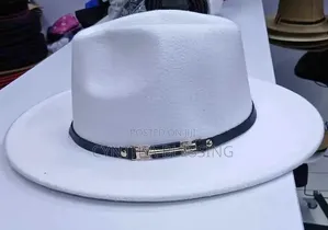 Elegant Fedora Hats in Various Colors