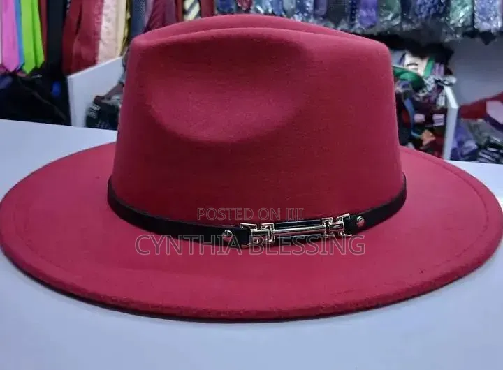 Elegant Fedora Hats in Various Colors