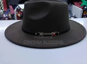 Elegant Fedora Hats in Various Colors