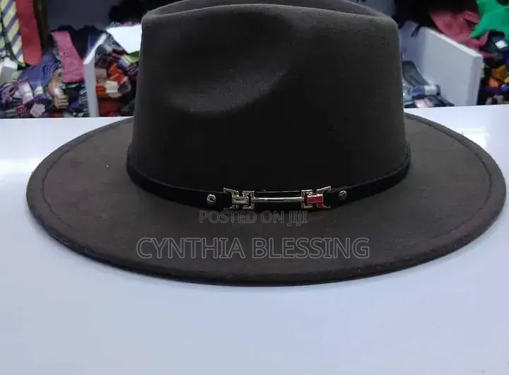 Elegant Fedora Hats in Various Colors