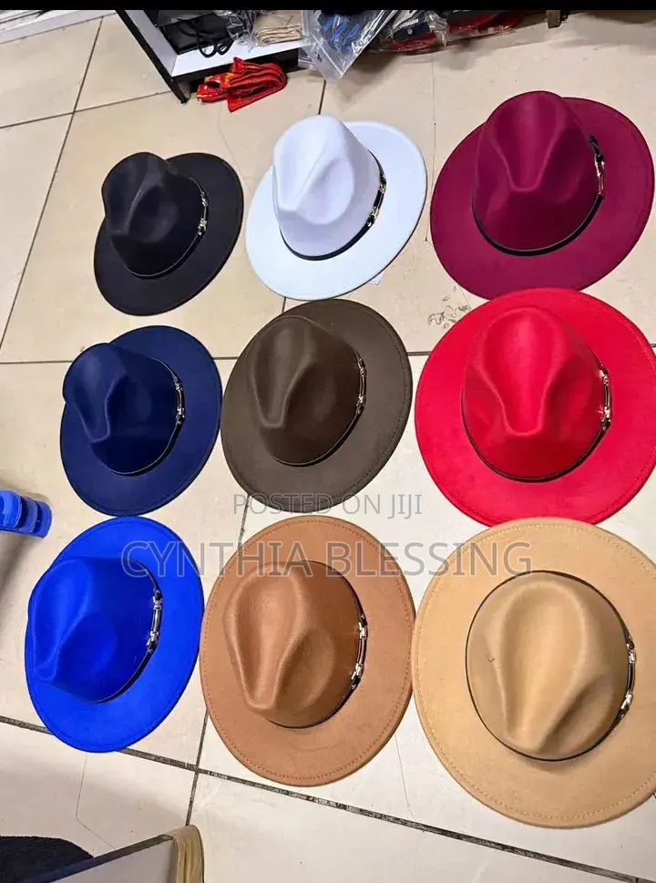 Fedora Hats in Different Colors
