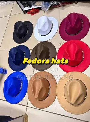 Fedora Hats in Different Colors