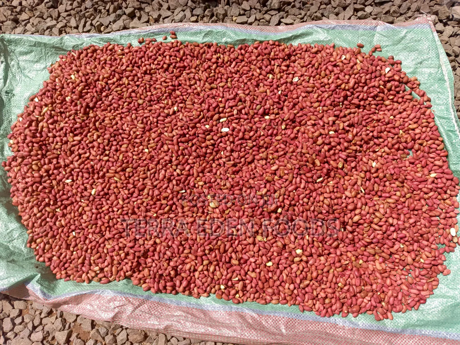 Njugu Karanga