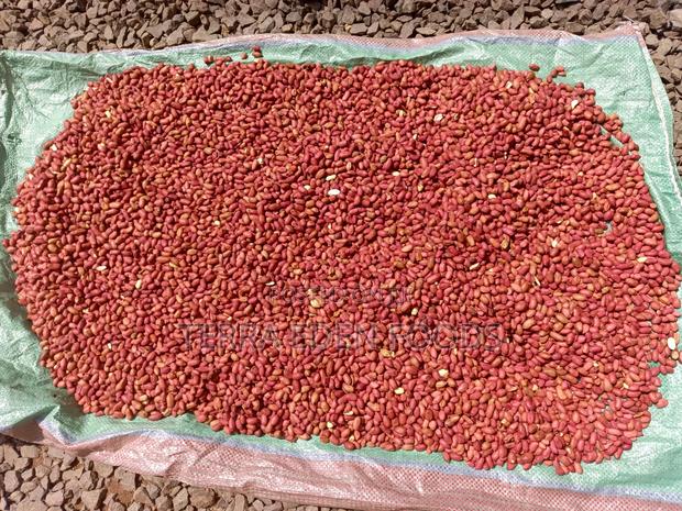 Njugu Karanga