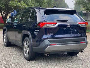 Toyota RAV4 2019 Blue