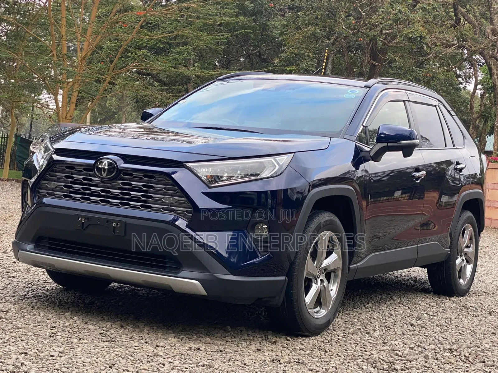 Toyota RAV4 2019 Blue