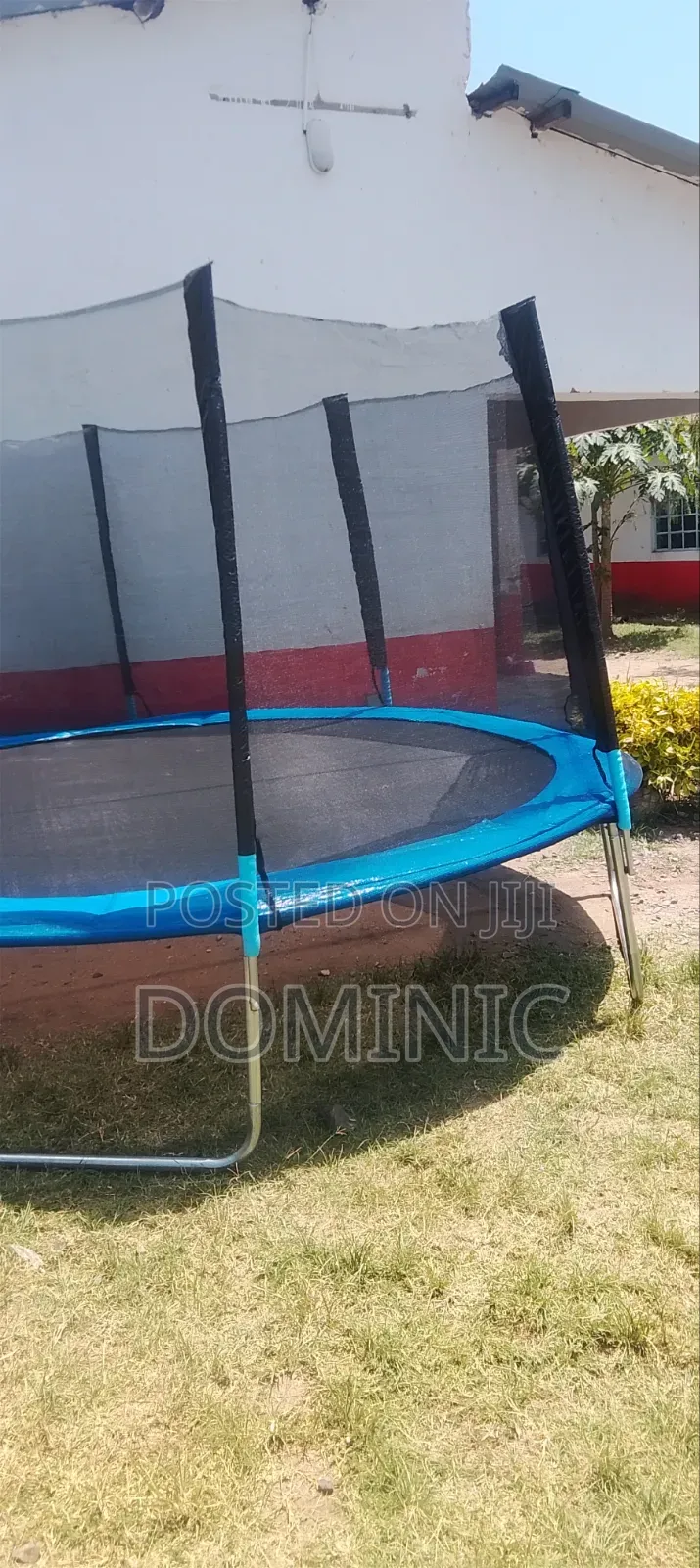 Trampoline