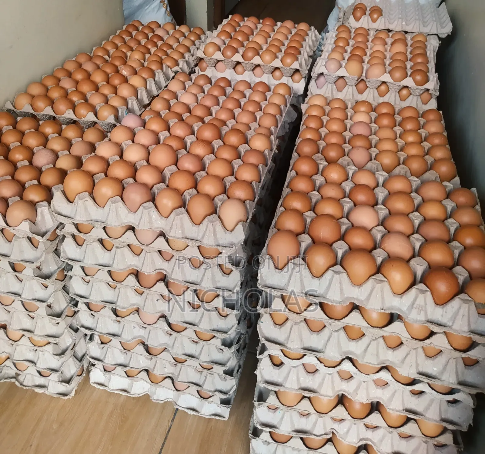 Fresh Table Eggs Wholesale Self Pick