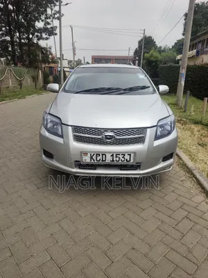 Toyota Corolla Fielder 2009 Silver