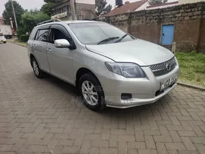 Toyota Corolla Fielder 2009 Silver