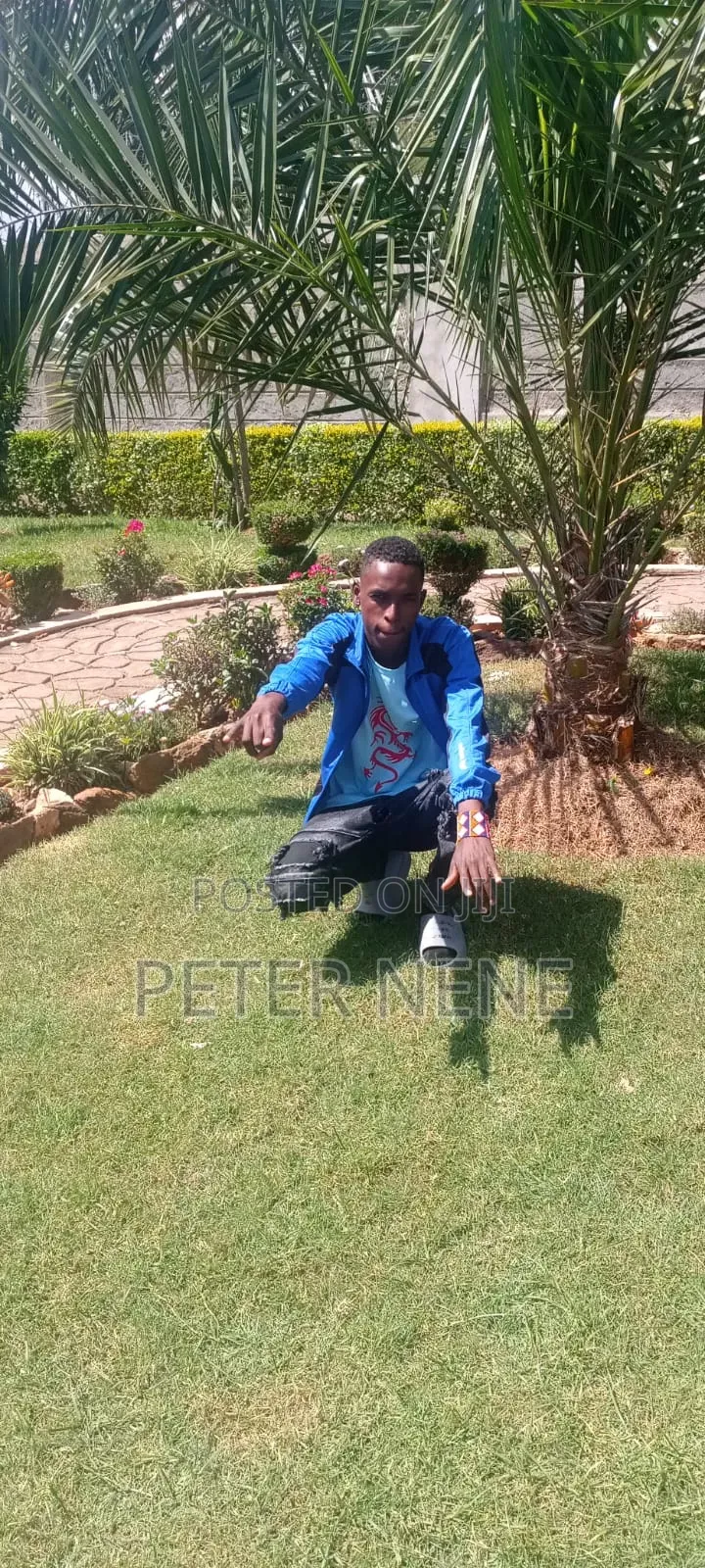 Peter Lisie