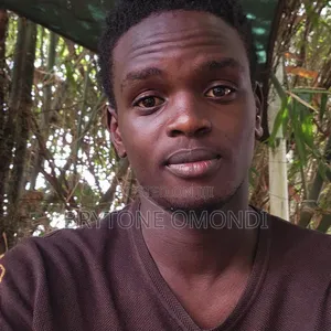 Brytone Omondi Writing Expert