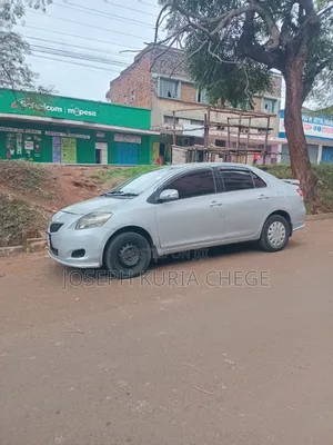 Toyota Belta 2010 Silver