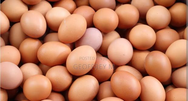 Eggs For Sales Call - main view