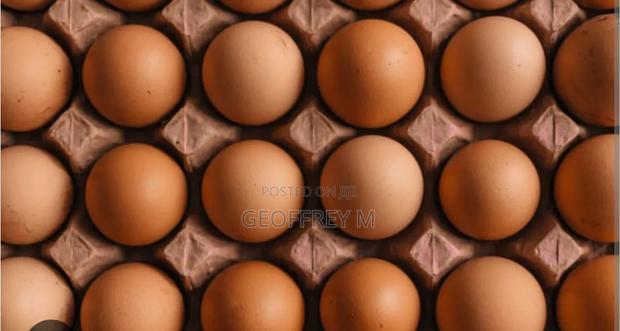 Eggs For Sales Call - thumbnail 2