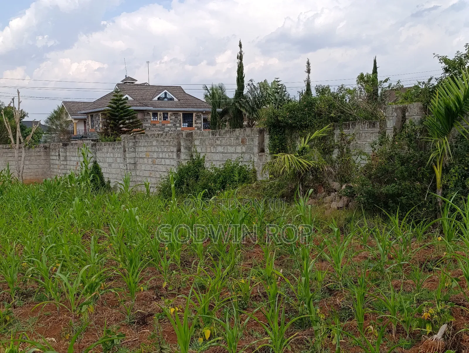 One Acre Land for Sale in Lower Elgon View Eldoret.