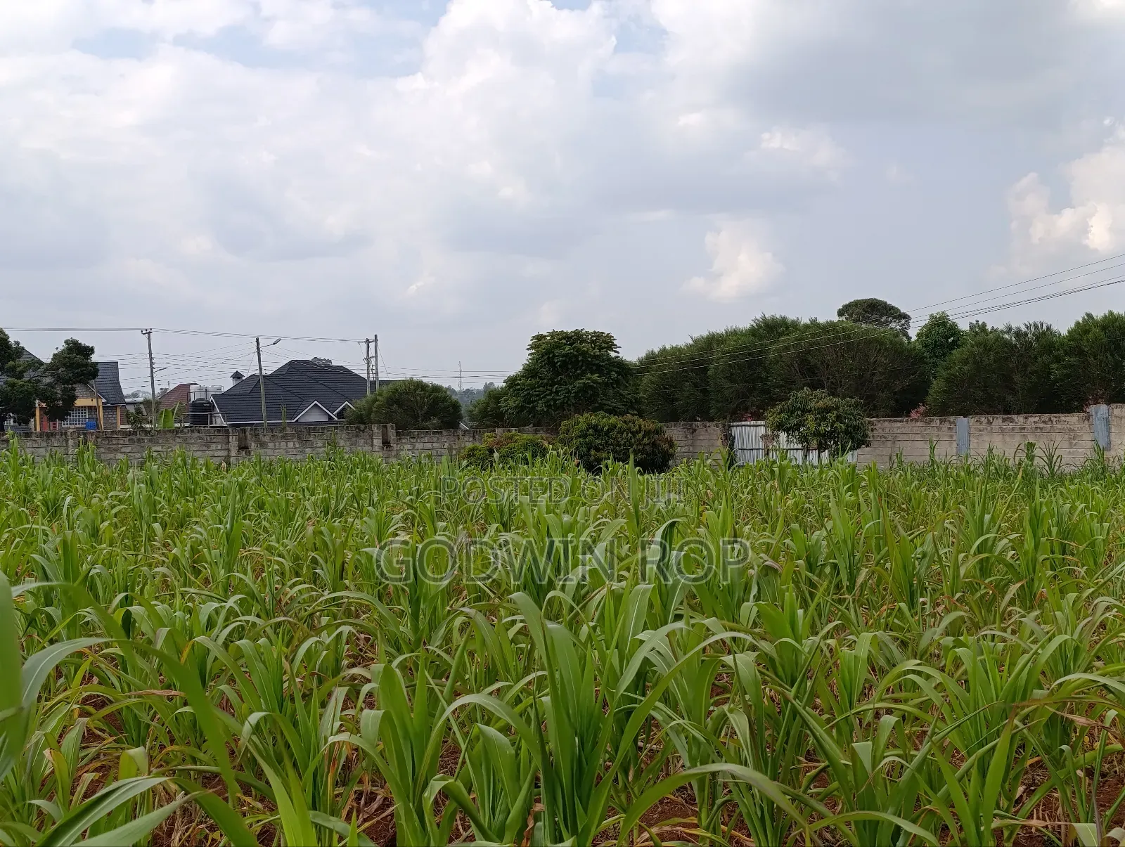 One Acre Land for Sale in Lower Elgon View Eldoret.