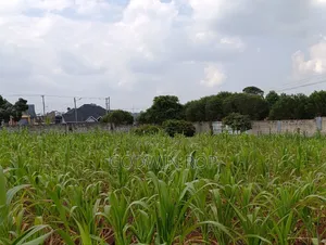 One Acre Land for Sale in Lower Elgon View Eldoret.