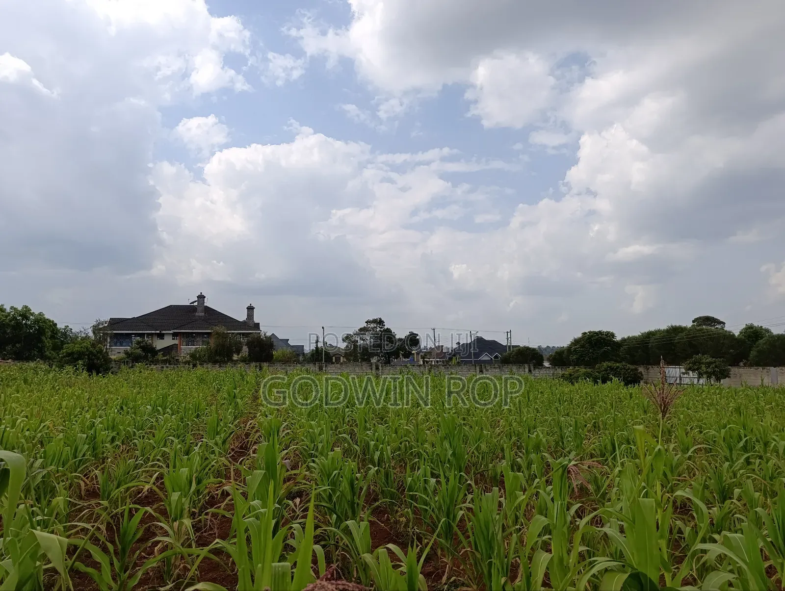 One Acre Land for Sale in Lower Elgon View Eldoret.