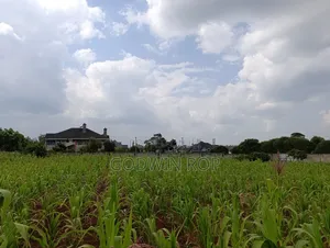 One Acre Land for Sale in Lower Elgon View Eldoret.