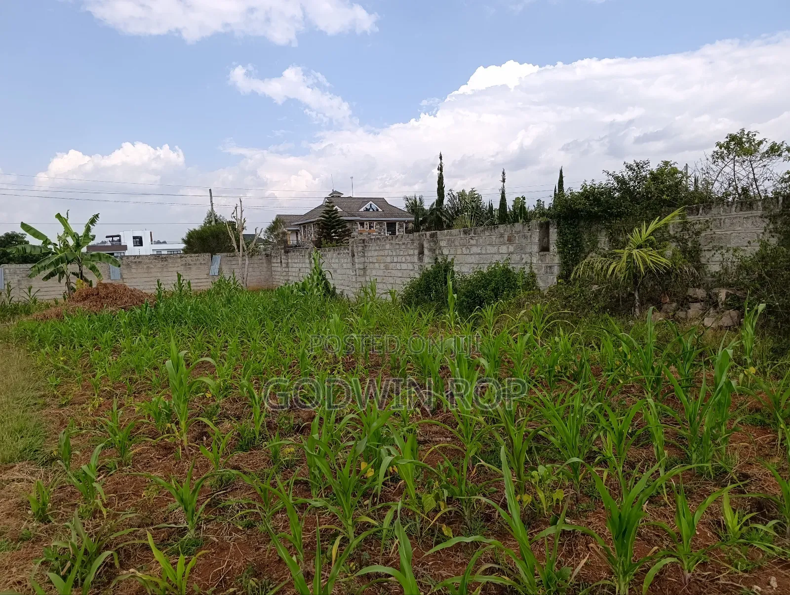 One Acre Land for Sale in Lower Elgon View Eldoret.